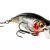 Westin BuzzBite SR Crankbait