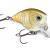 Rapala Woblery BX Brat