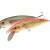 Dorado Classic 15