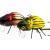 Microbait Woblery smużaki Colorado Beetle