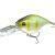 Prorex Woblery Crankbait DR