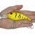 Black Cat Cranker Lures