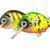 HMG Lures Woblery Droop Killer Float