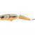 Dorado Esox Jointed