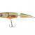 Dorado Esox Jointed