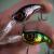 SPRO Hard Lures Fat Iris 40 DR