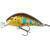 Mikado Fishunter Cavalier