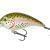 Mikado Fishunter Crazy Dots