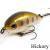 Zipbaits Hickory SR Lures