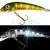 Jaxon Lures Holo Select Ferox UV