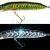 Jaxon Lures Holo Select Pike UV