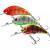 Salmo Hornet Rattlin lures