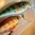 Salmo Woblery Rattlin’ Executor SDR