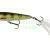 Westin Woblery Spot-On Popper